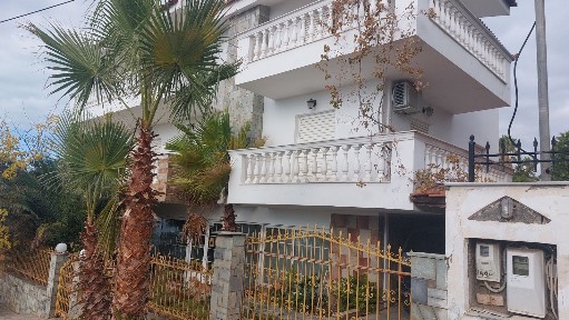 Κέντρο, Νέα Αρτάκη (Εύβοια)