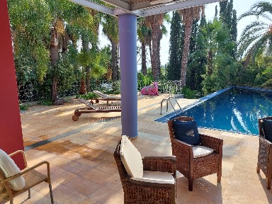 Κέντρο, Ερέτρια (Εύβοια), Φιλοσόφου Μενεδήμου 1, Ερέτρια 34008