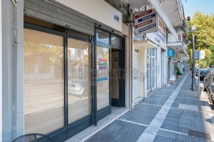 Ευαγγελικά, Κατερίνη (Ν. Πιερίας), 7ης Μεραρχίας 60 Κατερίνη, Κατερίνη, 60133