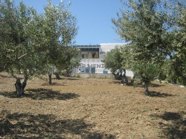Πρόδρομος, Πάρος (Κυκλάδες)