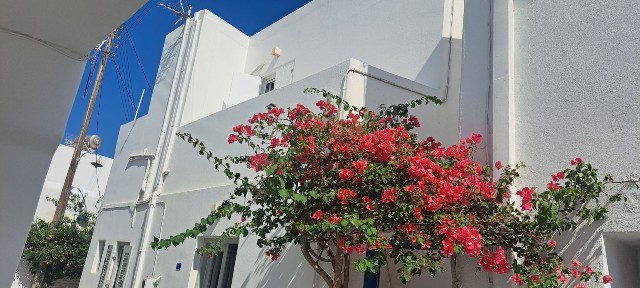 Παροικιά, Πάρος (Κυκλάδες)