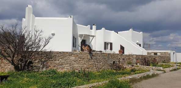 Πούντα, Πάρος (Κυκλάδες)