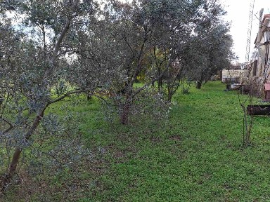Διομήδεια, Βιστωνίδα (Ν. Ξάνθης)
