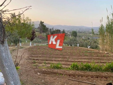 Συγκρότημα διαμερισμάτων, 360τ. μ.