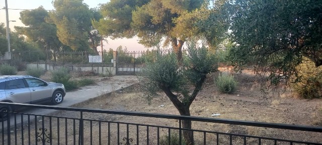 Κέντρο Συκάμινου, Συκάμινο (Υπόλοιπο Αττικής)