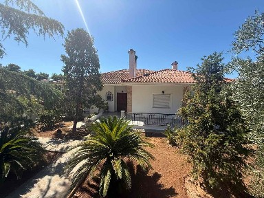 Χαλκούτσι, Ωρωπός (Υπόλοιπο Αττικής)