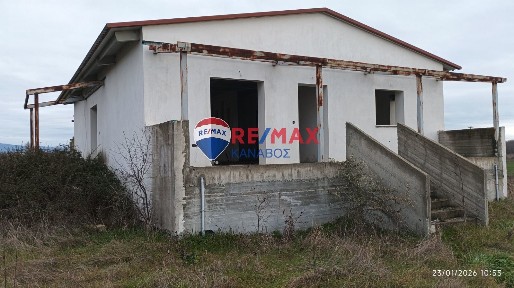 Γενισέα, Βιστωνίδα (Ν. Ξάνθης)