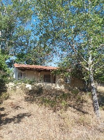 Κέντρο, Οινόη (Υπόλοιπο Αττικής)