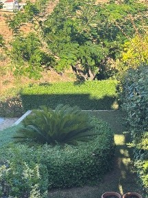 Διώνη, Πικέρμι (Υπόλοιπο Αττικής)