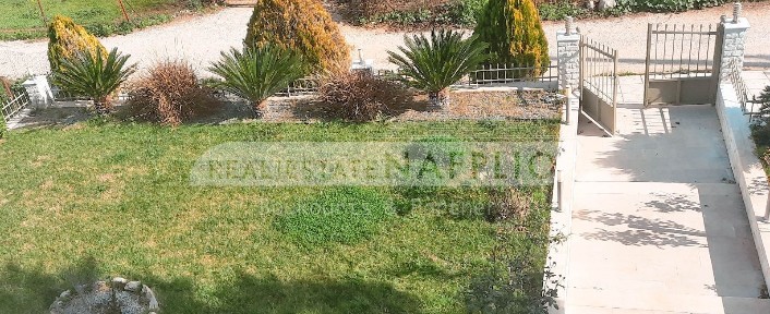 Αρκαδικό, Ασκληπιείο (Αργολίδα)