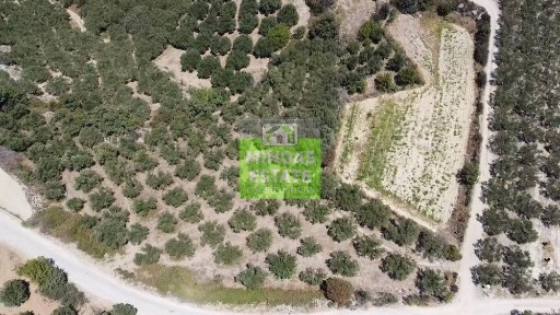 Συγκρότημα διαμερισμάτων, 190τ. μ.