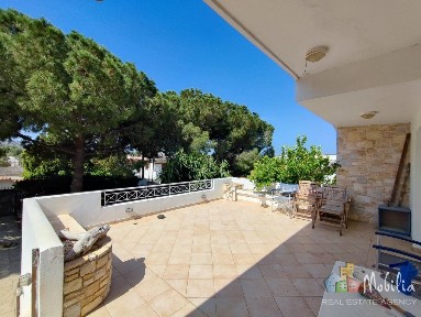 Θυμάρι, Παλαιά Φώκαια (Υπόλοιπο Αττικής)