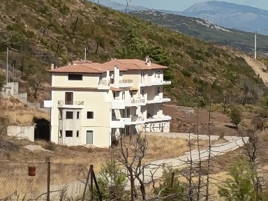 Μεζονέτα, 600τ. μ.
