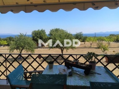 Μονοκατοικία, 272τ. μ.