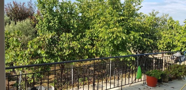 Κέντρο, Άγιος Αθανάσιος (Θεσσαλονίκη - Υπόλ. Νομού), Θεσσαλονίκης-Έδεσσας 57003