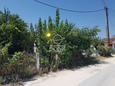 Ζαγκλιβέρι, Καλλίνδοια (Θεσσαλονίκη - Υπόλ. Νομού)