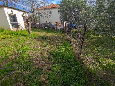 Λοφίσκος, Βερτίσκος (Θεσσαλονίκη - Υπόλ. Νομού), Αβέρωφ, Λοφίσκος 57002