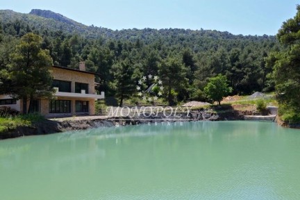 Μονοκατοικία, 550τ. μ.