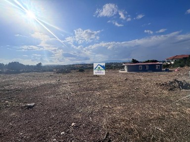 Πόρτο Ράφτη, Μαρκόπουλο (Υπόλοιπο Αττικής), Χρυσοβαλάντου 19023