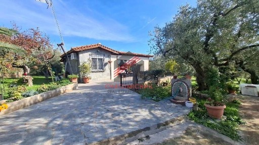 Αλεξανδρούπολη (Έβρος)