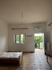 Νέα Άμπλιανη, Λαμία (Φθιώτιδα)