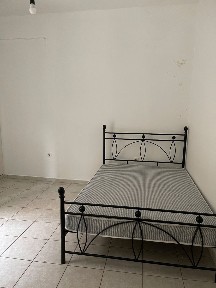 Γαλανέικα - Νέα Ιωνία - Άνοιξη, Λαμία (Φθιώτιδα)
