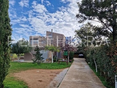 Κέντρο, Παλαιά Φώκαια (Υπόλοιπο Αττικής), Παλαιά Φωκαία