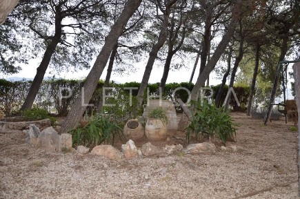 Ανάβυσσος (Υπόλοιπο Αττικής)
