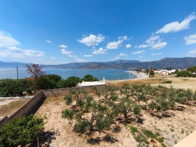 Κάτω Αλεποχώρι, Βίλια (Υπόλοιπο Αττικής), Παπανικολή, Αλεποχώρι 19012