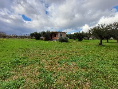 Κέντρο, Μέγαρα (Υπόλοιπο Αττικής), Λεωφόρος Αλεποχωρίου 19100