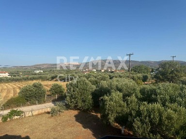 Συγκρότημα διαμερισμάτων, 240τ. μ.