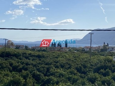 Αρχαία Επίδαυρος, Επίδαυρος (Αργολίδα), 210 59