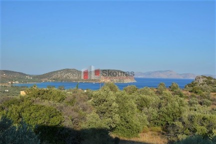Μονοκατοικία, 180τ. μ.