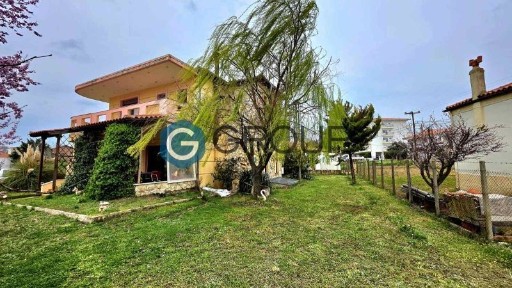 Κέντρο, Φέρες (Έβρος)