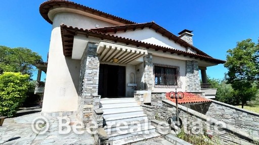 Νέο Ρύσιο, Θέρμη (Θεσσαλονίκη - Περιφ/κοί δήμοι)