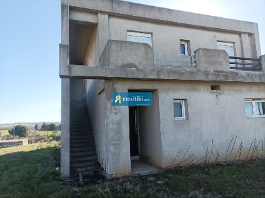 Λεύκες, Επανομή (Θεσσαλονίκη - Περιφ/κοί δήμοι)