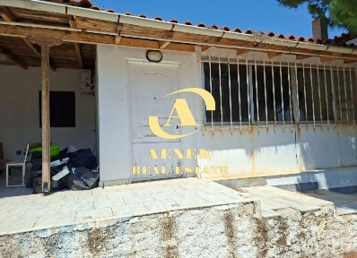 Βραυρώνα, Αρτέμιδα (Λούτσα) (Αθήνα - Ανατολικά Προάστια)
