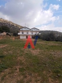 Κέντρο, Κορωπί (Αθήνα - Ανατολικά Προάστια)