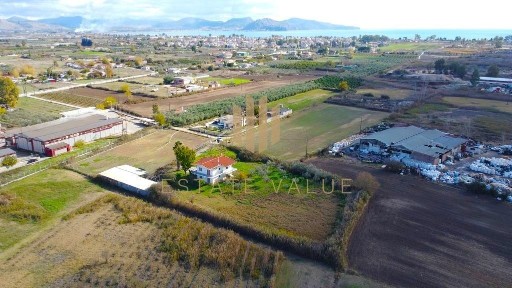 Κέντρο, Νέα Κίος (Αργολίδα), Λασκαρίδου, Νέα Κίος 21250