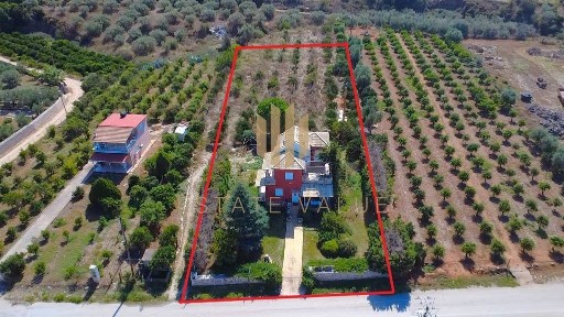 Άγιος Αδριανός, Νέα Τίρυνθα (Αργολίδα), Επ. Οδός 2-Ναυπλίου-Προσύμνης, Άγιος Αδριανός 21100