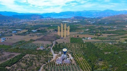 Άγιος Αδριανός, Νέα Τίρυνθα (Αργολίδα)