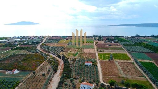 Παραλία Κάντιας, Ασίνη (Αργολίδα), Επαρχιακή Οδός Ναυπλίου-Καρνεζέικα, Ναύπλιο 21056