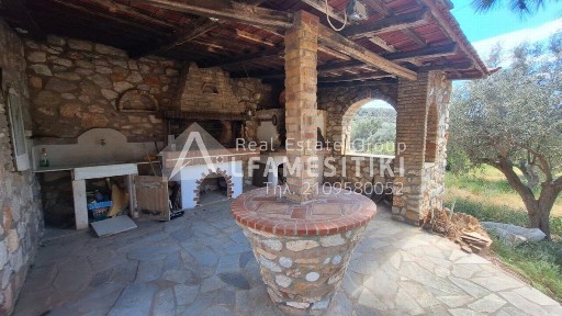 Σκάρπιζα, Κορωπί (Αθήνα - Ανατολικά Προάστια)