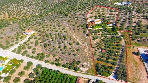 Κέντρο, Μυκήνες (Αργολίδα)