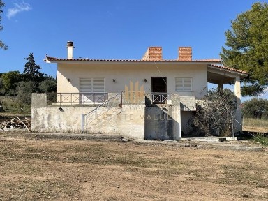 Πετροθάλασσα, Κρανίδι (Αργολίδα), Κρανίδι