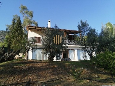 Μονοκατοικία, 250τ. μ.