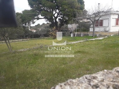 Αγία Μαρίνα, Κορωπί (Αθήνα - Ανατολικά Προάστια), Μακεδονίας 5-15, 194 43, Άγιος Δημήτριος