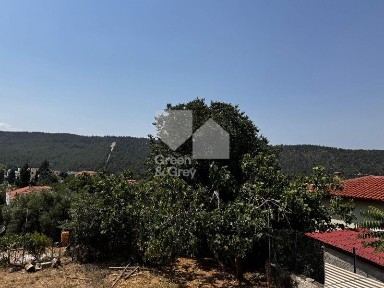 Κέντρο, Πεύκα (Θεσσαλονίκη - Περιφ/κοί δήμοι)