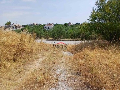Μονοκατοικία, 285τ. μ.