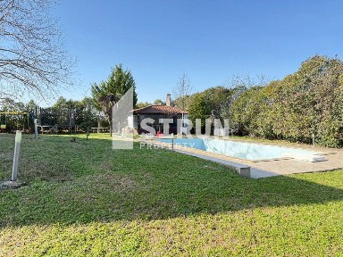 Τρίλοφο, Μίκρα (Θεσσαλονίκη - Περιφ/κοί δήμοι)